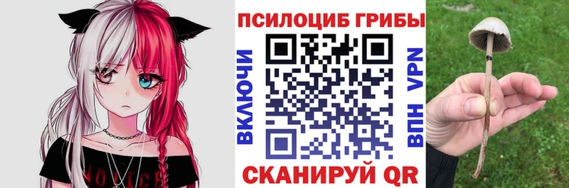 Галлюциногенные грибы прущие грибы  наркошоп  Кыштым 