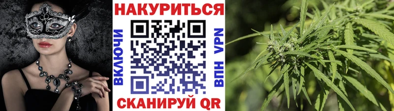 Шишки марихуана сатива  Кыштым 